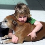 【涙腺崩壊】6才の少年が語った、「犬が人間よりも早く死んでしまう理由とは？」その理由に世界中が涙した